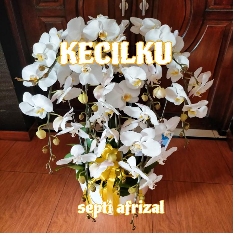 Septi Afrizal's avatar image