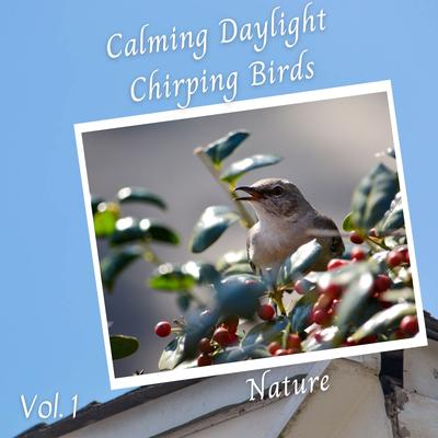 Nature: Calming Daylight Chirping Birds Vol. 1's cover