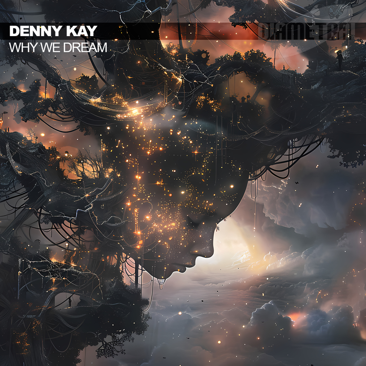 Denny Kay's avatar image