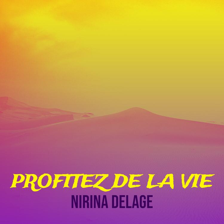 NIRINA DELAGE's avatar image