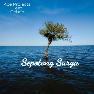 Sepotong Surga's cover