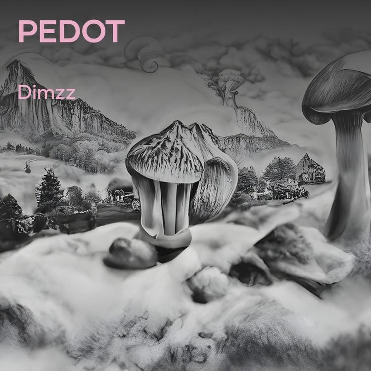 Dimzz's avatar image