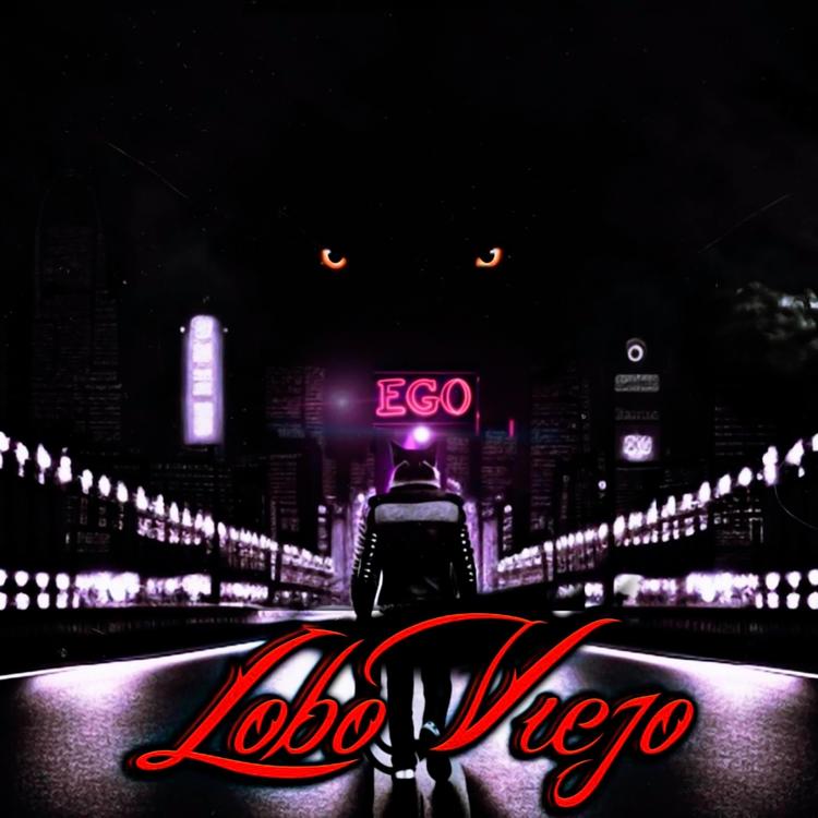 Lobo Viejo's avatar image
