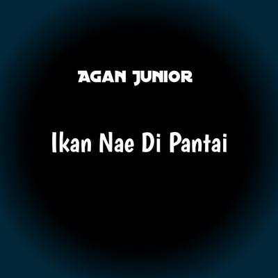 Agan Junior's cover