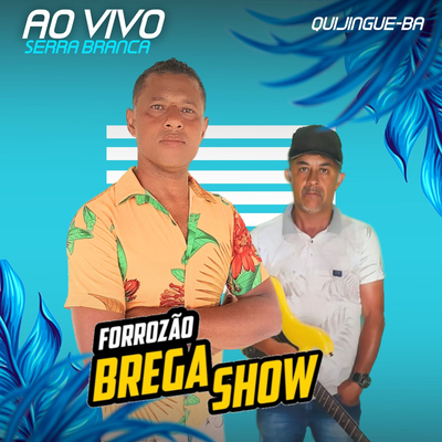 FORROZÃO BREGA SHOW's cover