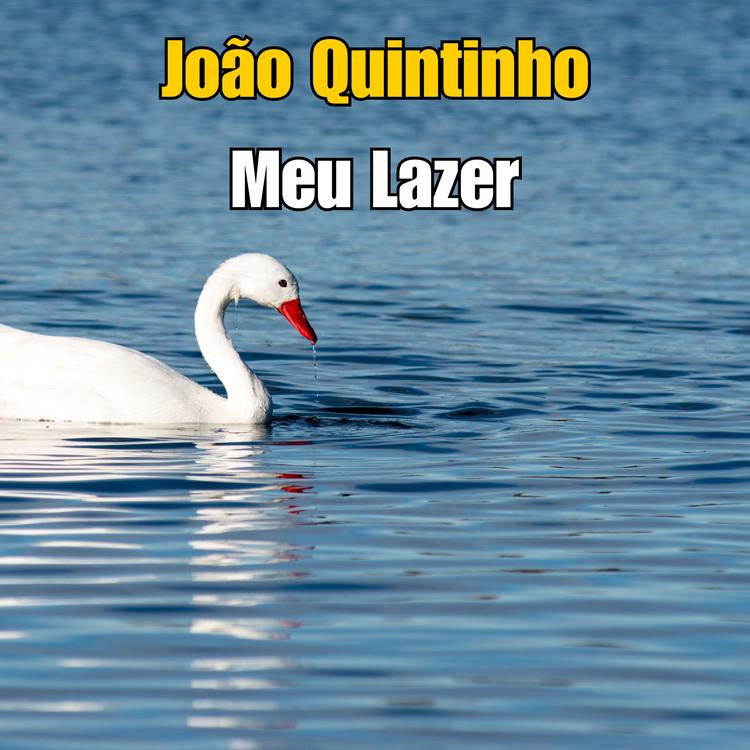 João Quintinho's avatar image