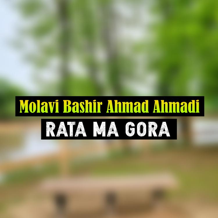 Molavi Bashir Ahmad Ahmadi's avatar image