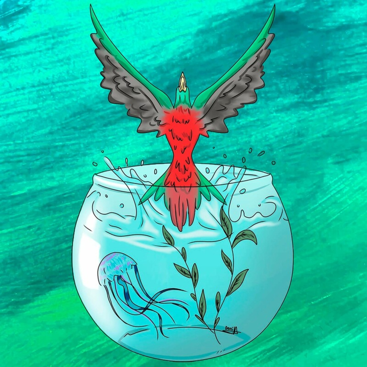 Nowi's avatar image