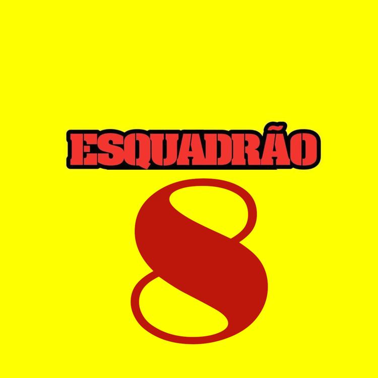 Esquadrão 8's avatar image