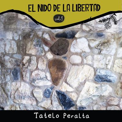 Pirquerito (feat. Cecilia Alvarez)'s cover