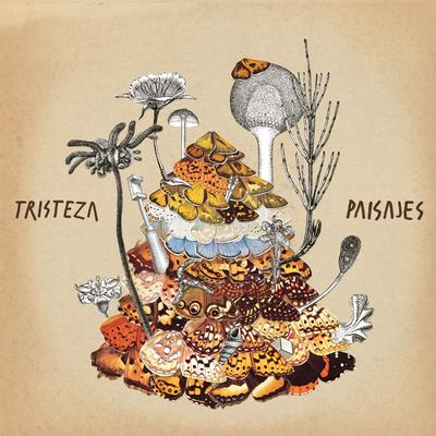 Missoula By Tristeza's cover