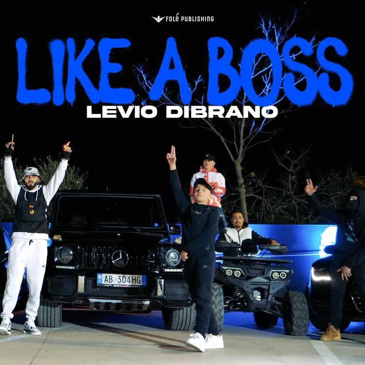 Levio Dibrano's avatar image