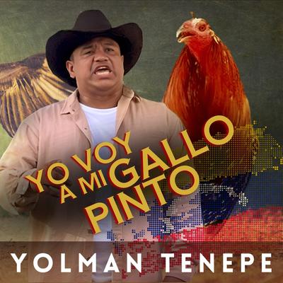 Yo Voy a Mi Gallo Pinto's cover