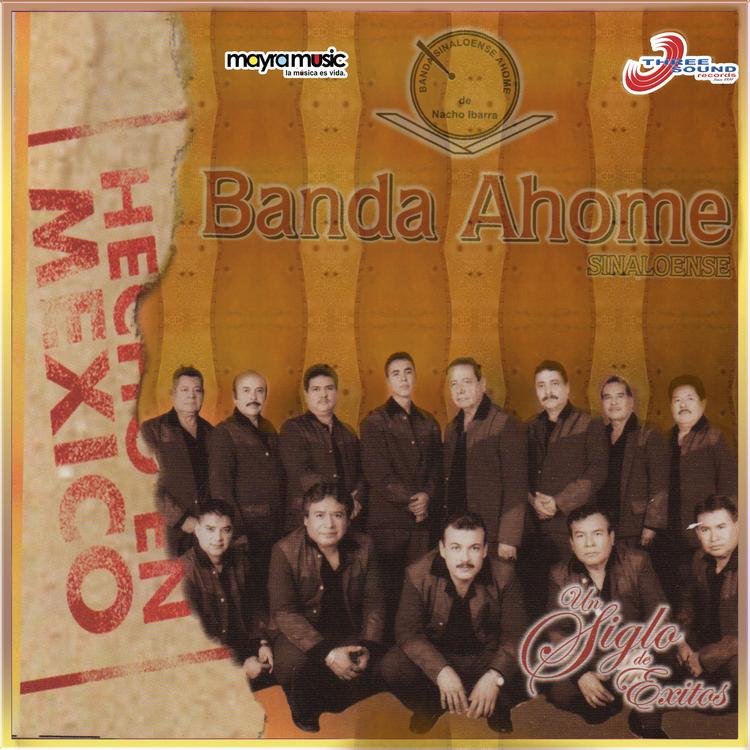 Banda Ahome's avatar image