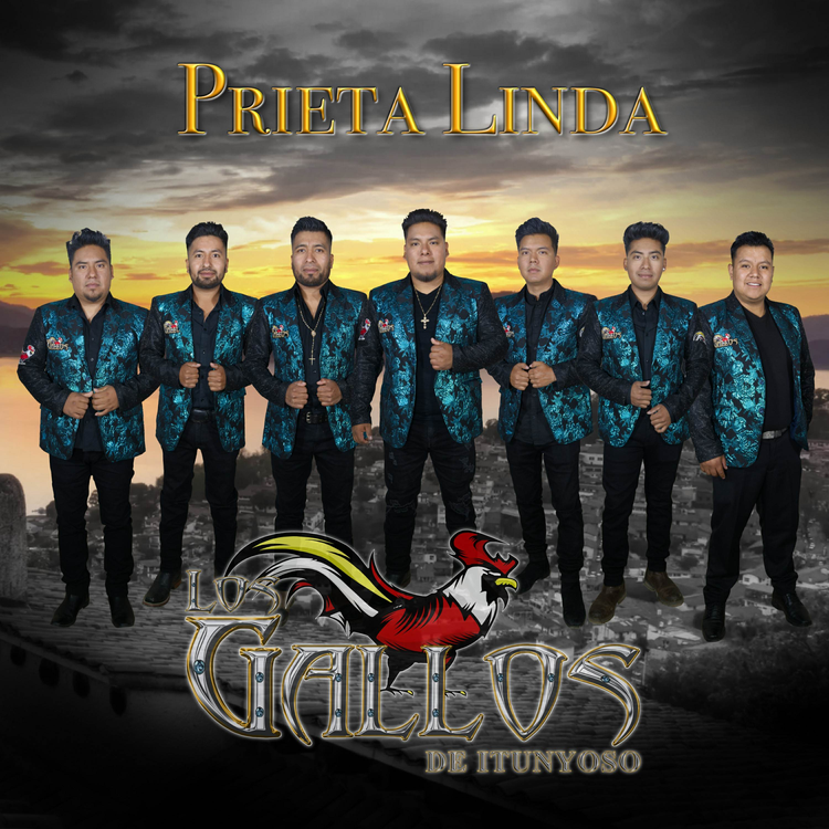 Los Gallos de Itunyoso's avatar image