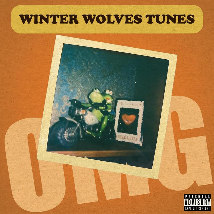 Winter Wolves Tunes's avatar image