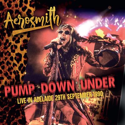 Live at Memorial Drive, Triple M-Fm Broadcast, Adelaide, Australia, 29th September 1990 (Live)'s cover