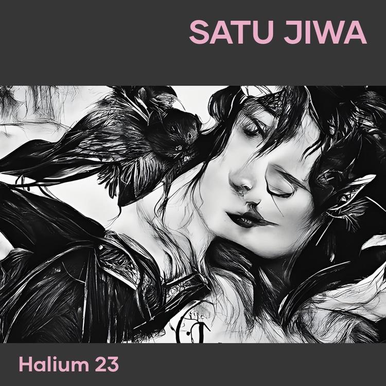 Halium 23's avatar image