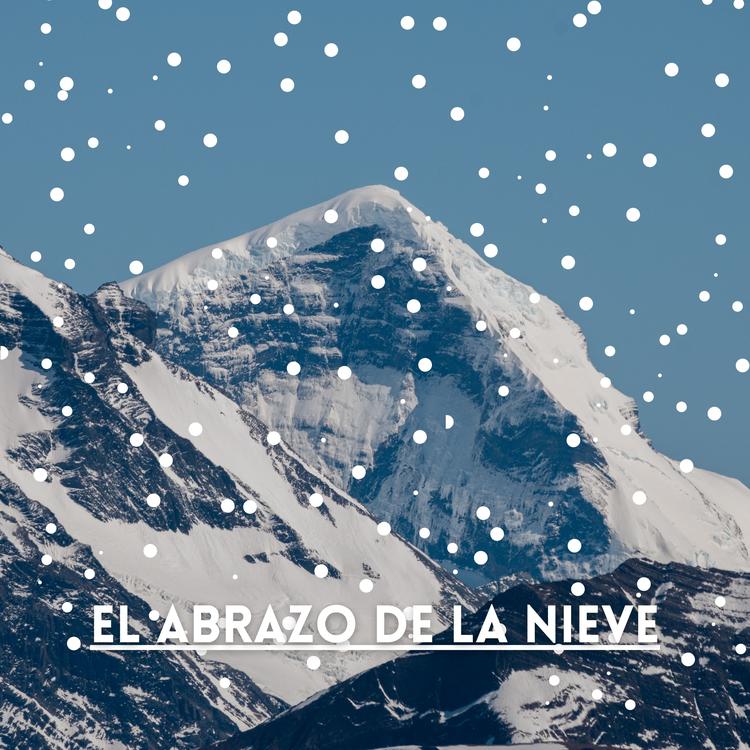 Musica para un dia de nieve's avatar image