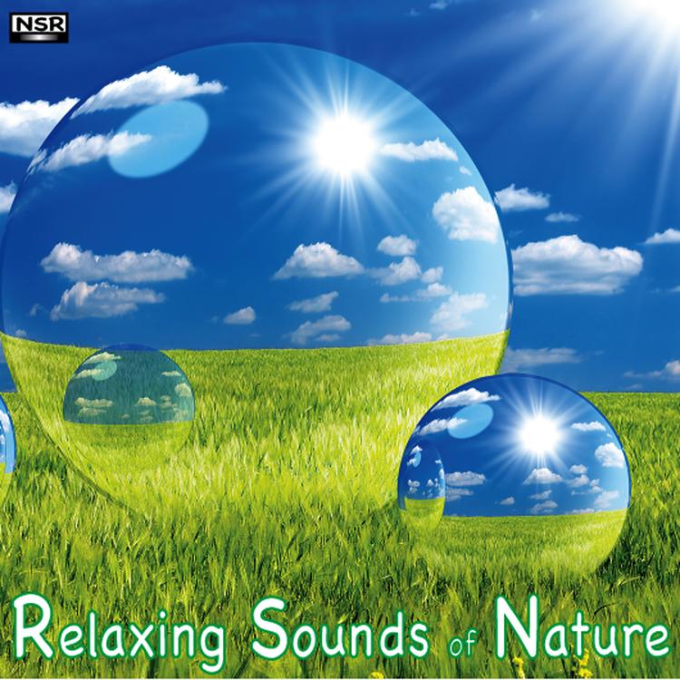 Relaxing Sounds of Nature's avatar image