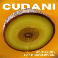 Vinicius Surian's avatar cover