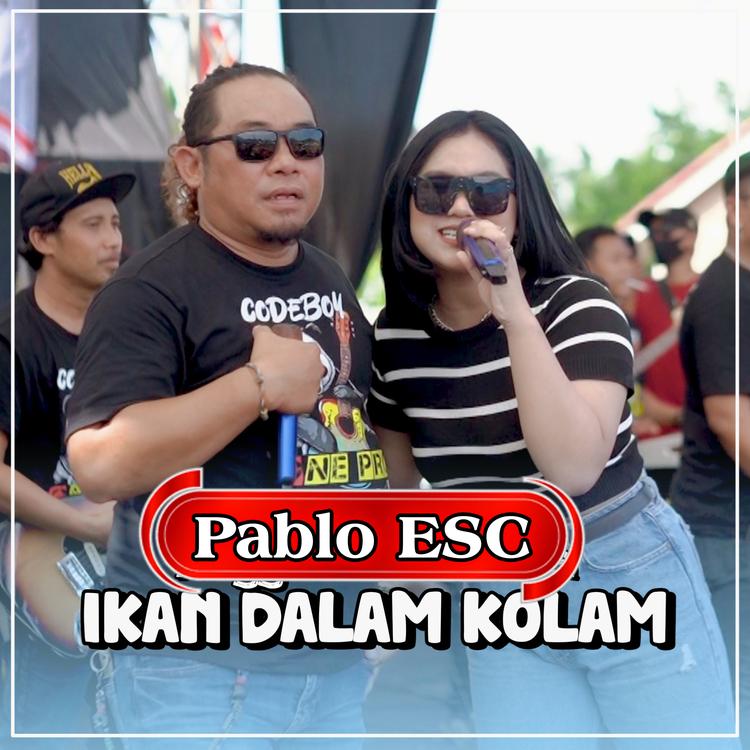 PABLO ESC's avatar image