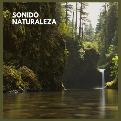 Sonido Naturaleza's cover