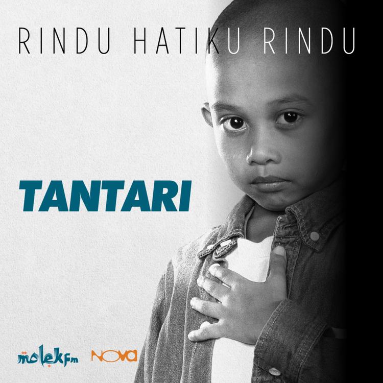 Tantari's avatar image
