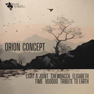 Orion Concept's cover