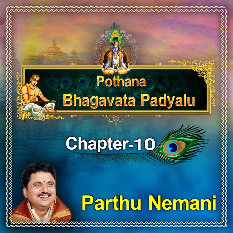 Parthu Nemani's avatar image