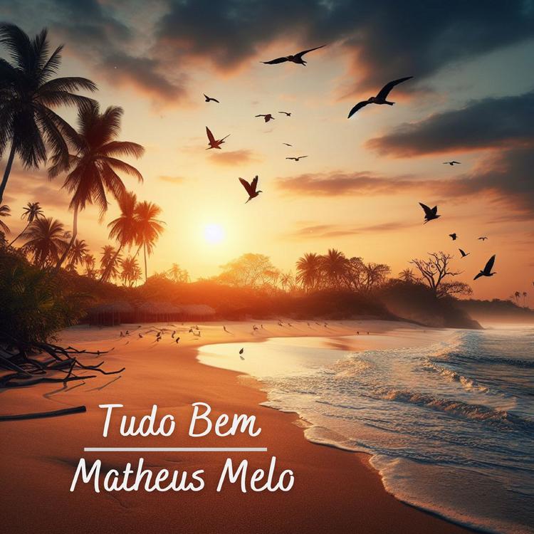 Matheus Melo's avatar image