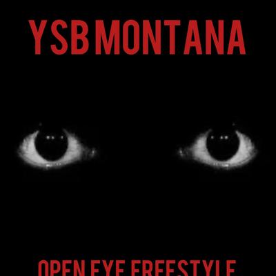 Open Eye Freestyle's cover