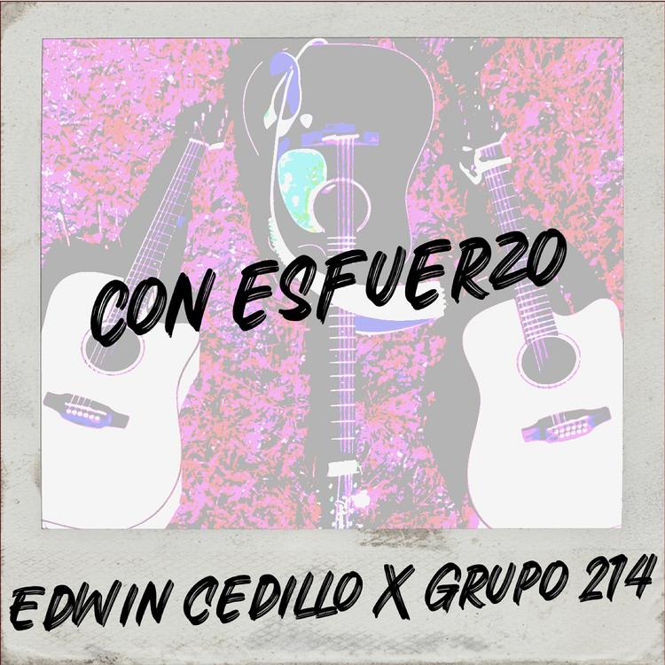 Edwin Cedillo's avatar image