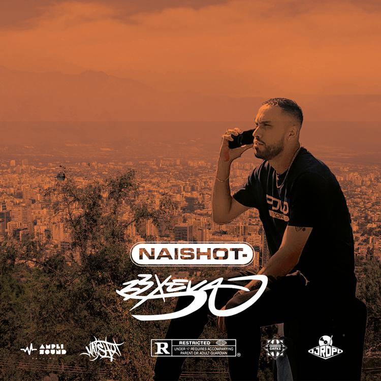 Naishot's avatar image