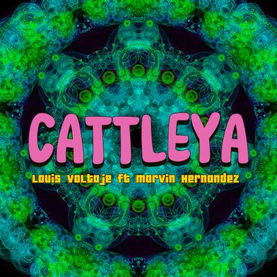 Cattleya's cover