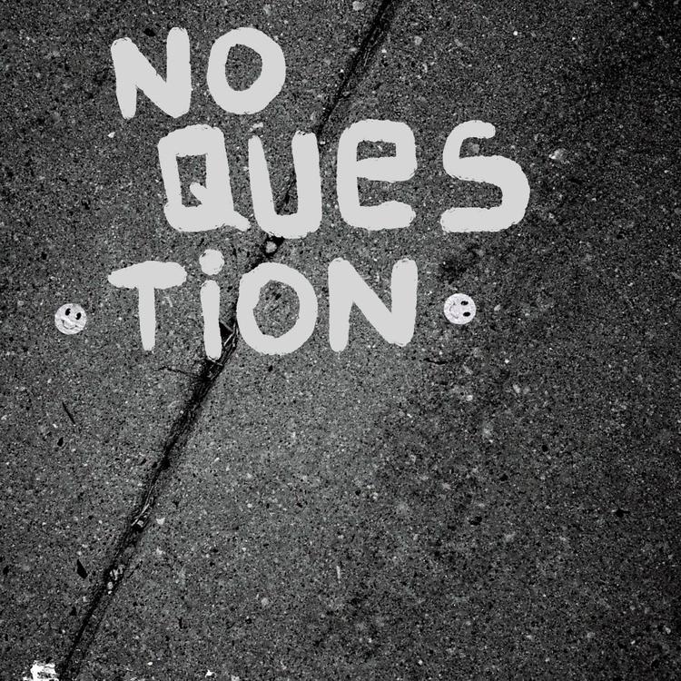 No Question's avatar image