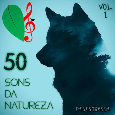 Lobos Uivando (Efeito Sonoro) By Desestresse's cover