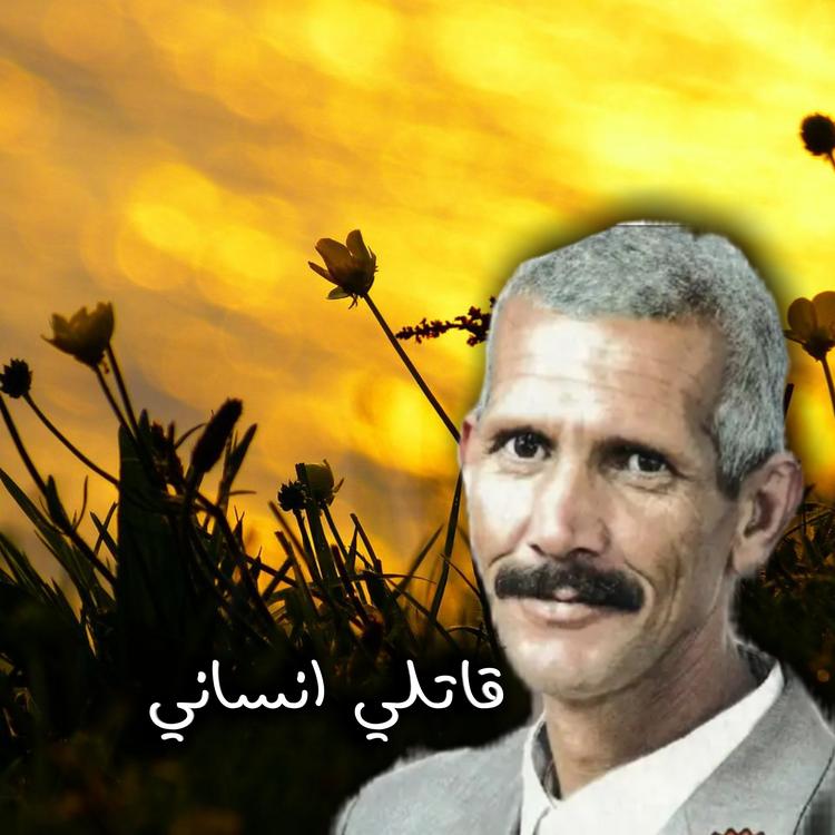 Cheikh Zawali's avatar image