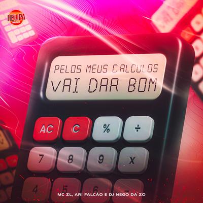 Pelos Meus Cálculos Vai Dar Bom By Mc ZL, Ari Falcão, DJ Nego da ZO's cover