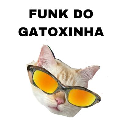 Funk do Gato Coxinha By Gatoxinha's cover