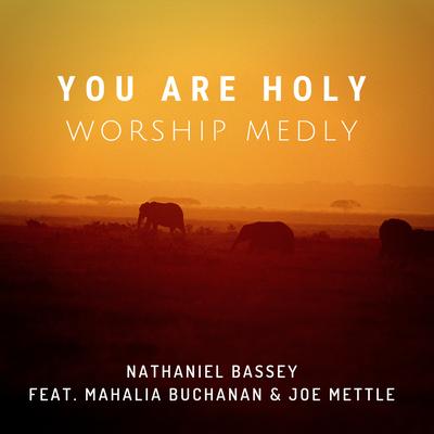 You Are Holy (Worship Medly)'s cover