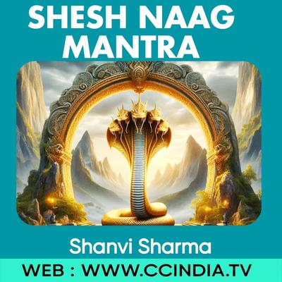 Shesh Naag Mantra's cover