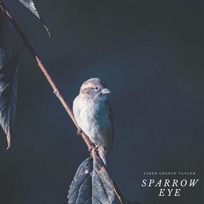 Sparrow Eye By Jared Chance Taylor's cover