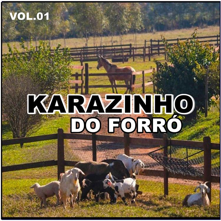 KARAZINHO DO FORRÓ's avatar image