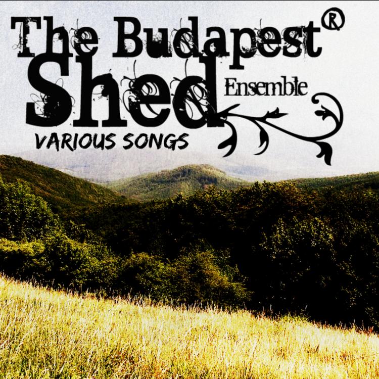 Budapest Shed Ensemble's avatar image