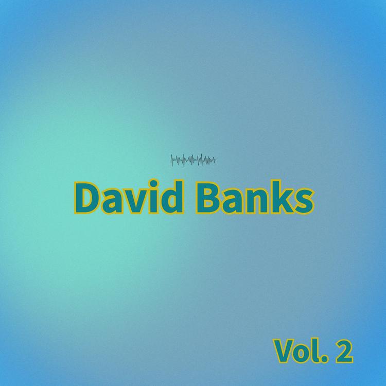 David Banks's avatar image