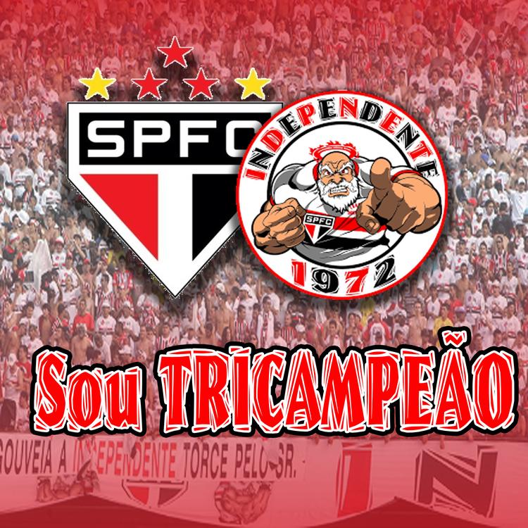 Torcida Tricolor Independente's avatar image
