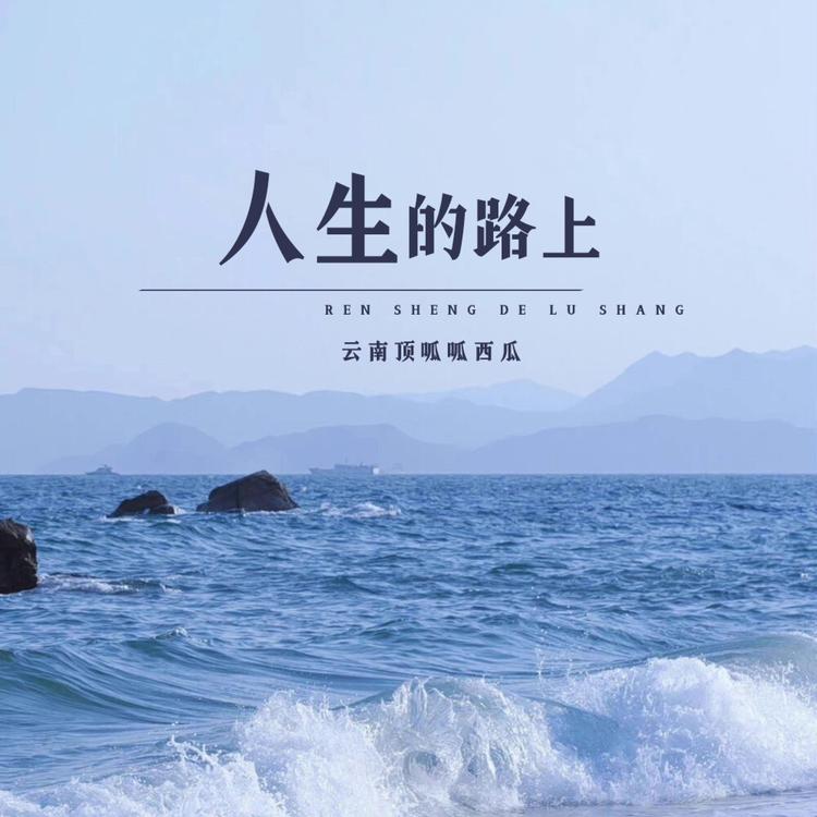云南顶呱呱西瓜's avatar image
