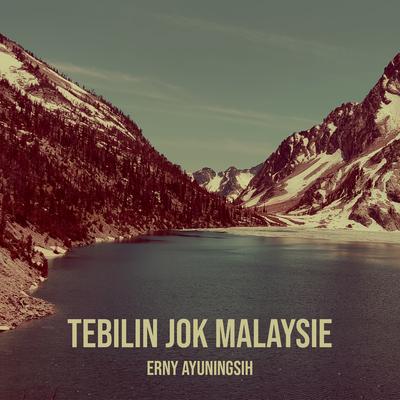 Tebilin Jok Malaysie's cover