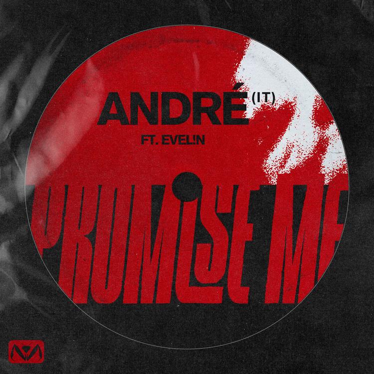 Andre (IT)'s avatar image